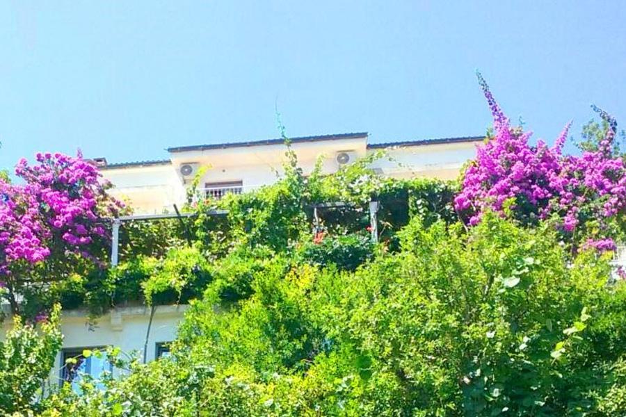 Guest House Madra Budva Exterior photo